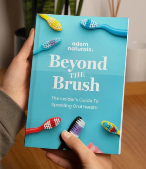 ProvaDent  bonus Beyond the Brush